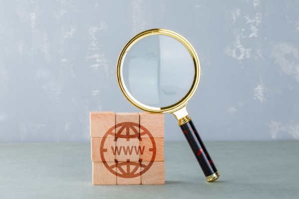 Kan man eje et domæne?